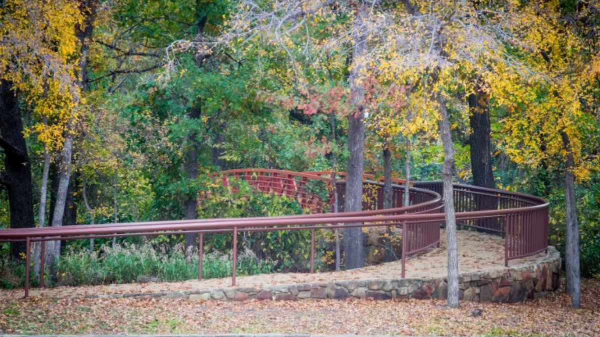 Featured image for “Beautiful Autumn Colors”
