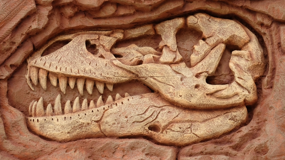 Featured image for “Dinosaurs Did Not All Go Extinct. They’re Still Around and They’re Everywhere!”