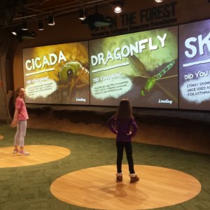 2 kids in discovery room in front of large screens