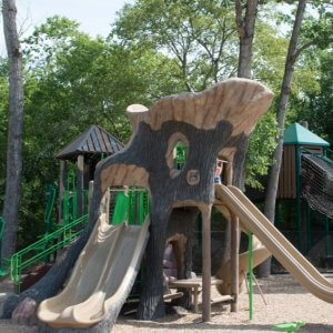 River legacy park playground set