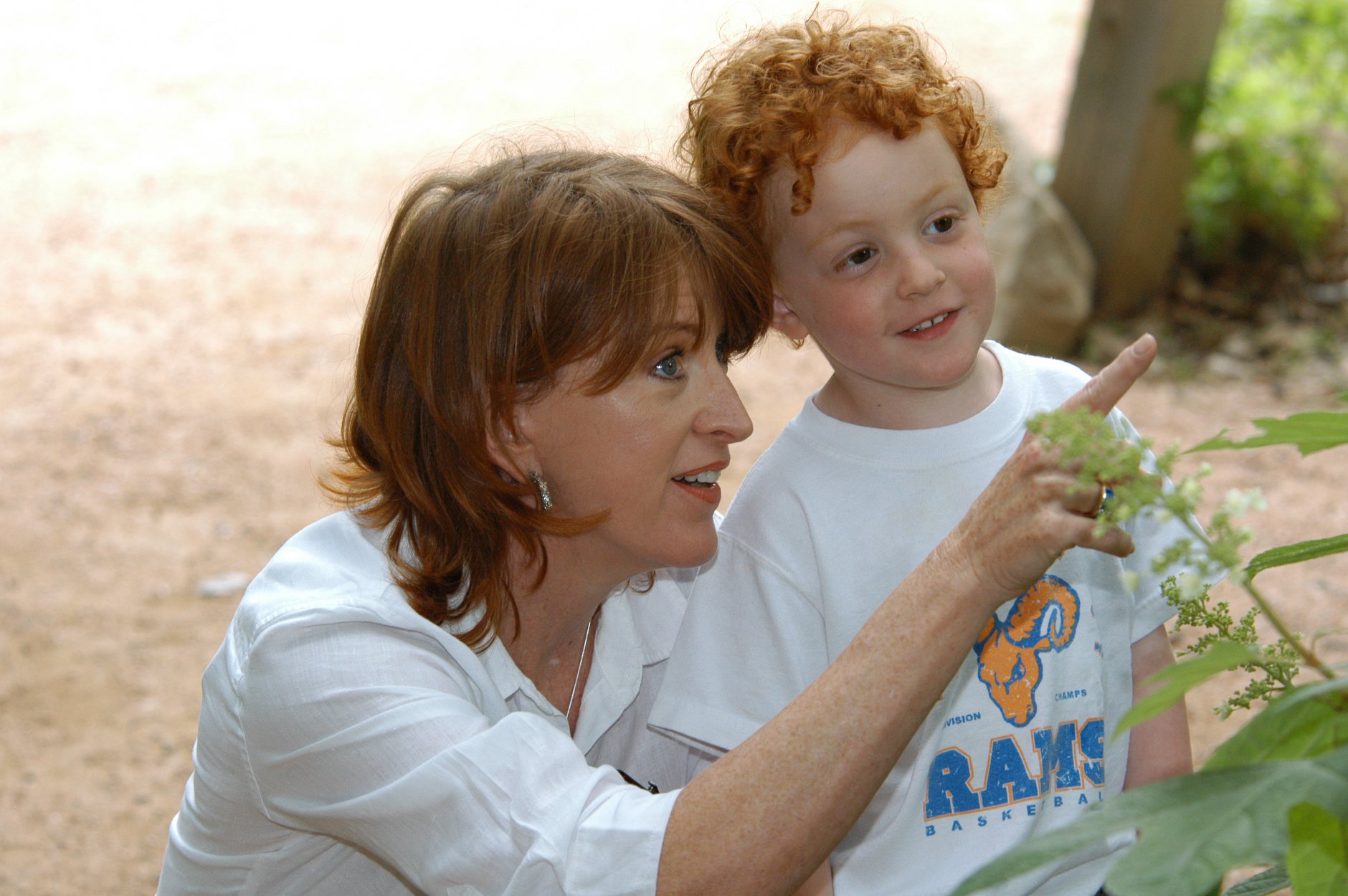 River Legacy Nature Center photo from the official site