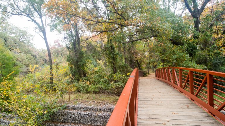 Featured image for “6 Ways DFW Families Can Celebrate World Nature Conservation Day”