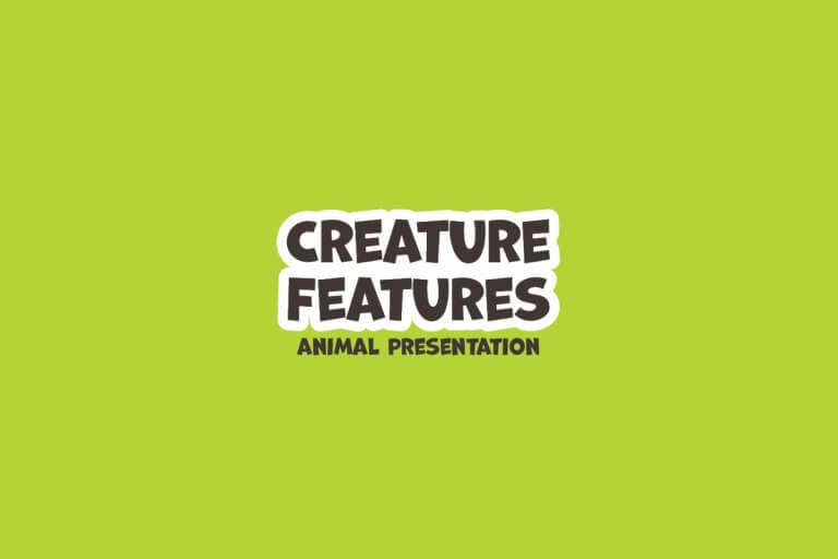 Featured image for “Free Animal Presentation: Salamanders”