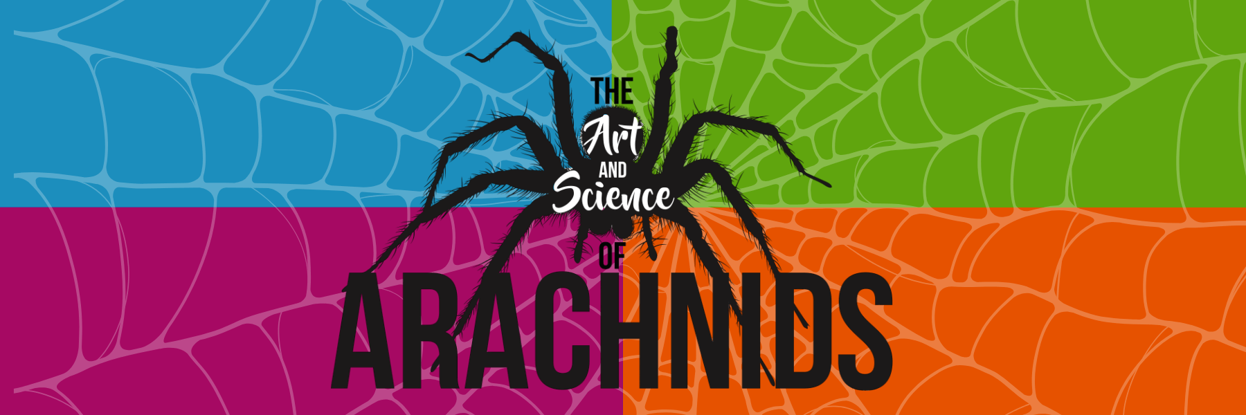 Featured image for “GRAND OPENING: The Art and Science of Arachnids Visiting Exhibit”