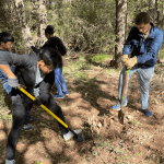 Screen Shot 2026-01-14 at 11.43.01 AM