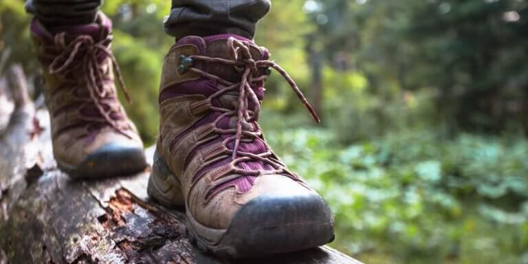 Featured image for “Saturday Morning Hike”