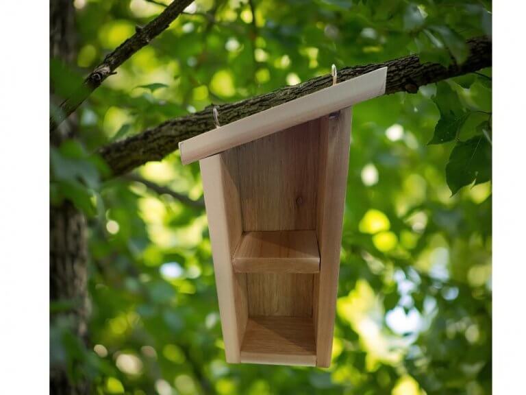 Featured image for “Insect Inn Enrichment Class (Ages 5-9)”