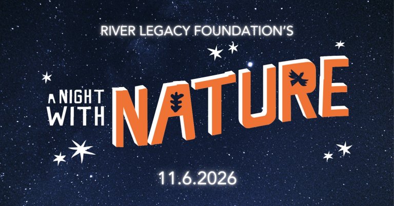 Featured image for “A Night with Nature”