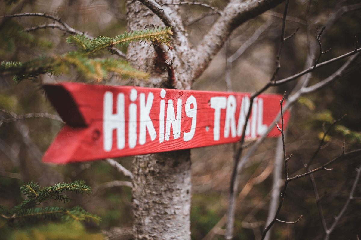 Featured image for “10 Hiking Essentials + Survival by Mountain Sports and Naturalist Scott Matula”