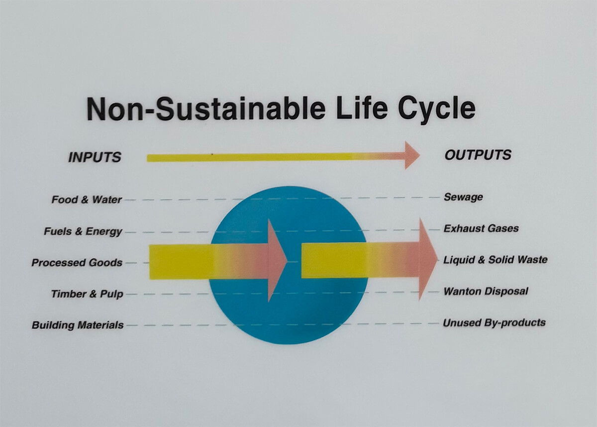 Non-Sustainable Life Cycle