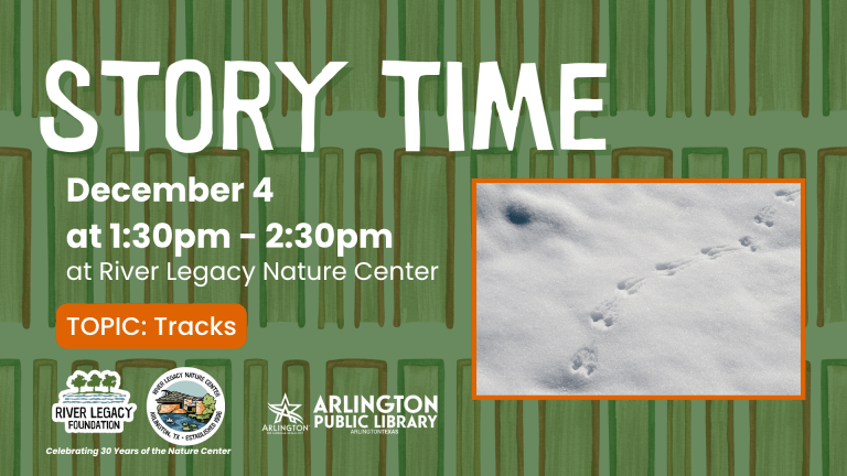 Featured image for “Family Story Time: Animal Tracks”
